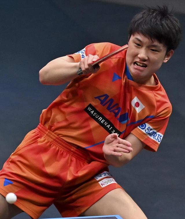 葡萄牙队绝杀波兰队，张本智和惊艳四座