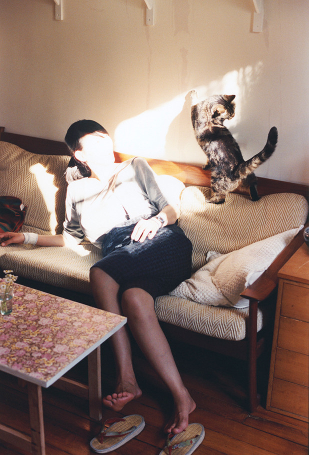 芝加哥的孤星与纽约的硝烟，两种胜利的古老回声