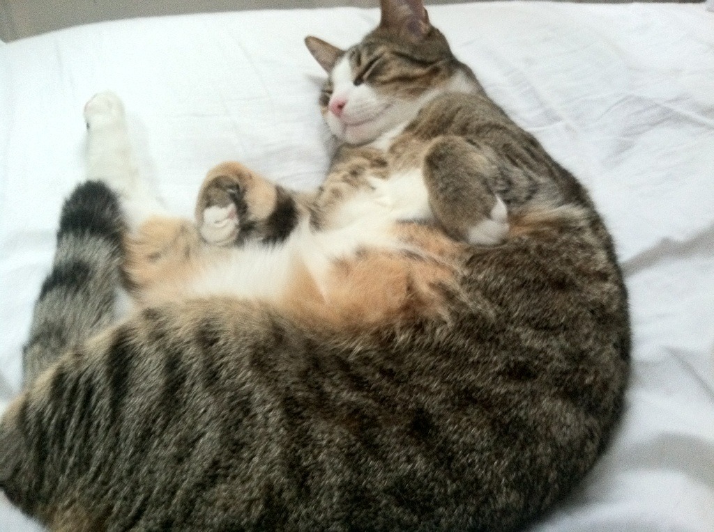 单节爆发的艺术，从76人制胜一节到F1街道赛的决胜弯道