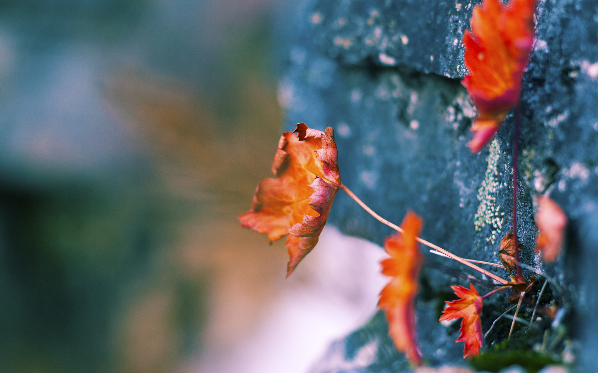 个体神话与群体革命，约基奇以一敌众与热火燃烧体系的季后赛对峙