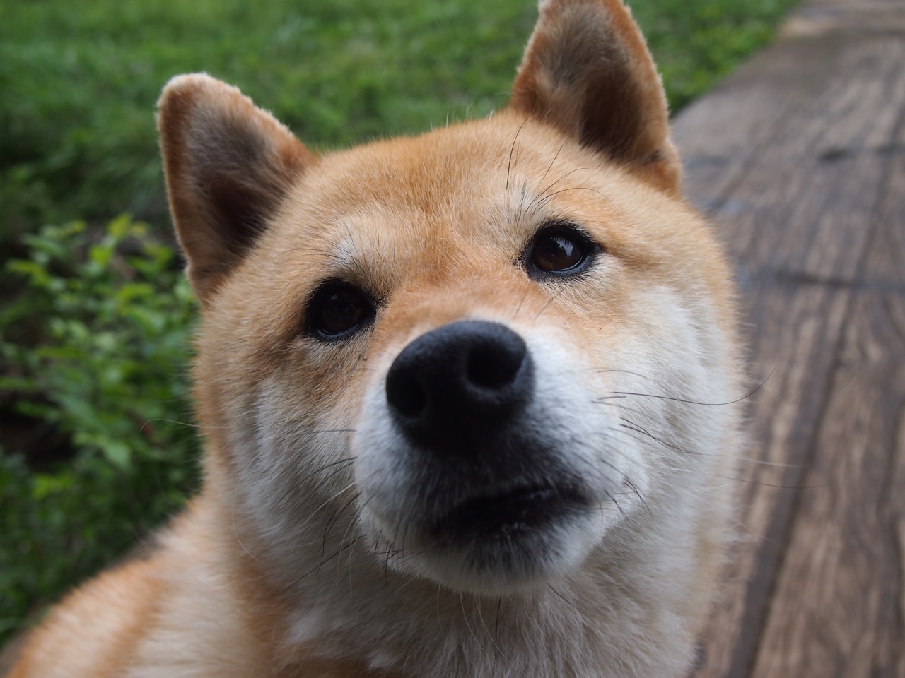 绿茵变局，喀麦隆铁骑踏破旧秩序，阿什拉夫在西甲德比宣告新王当立