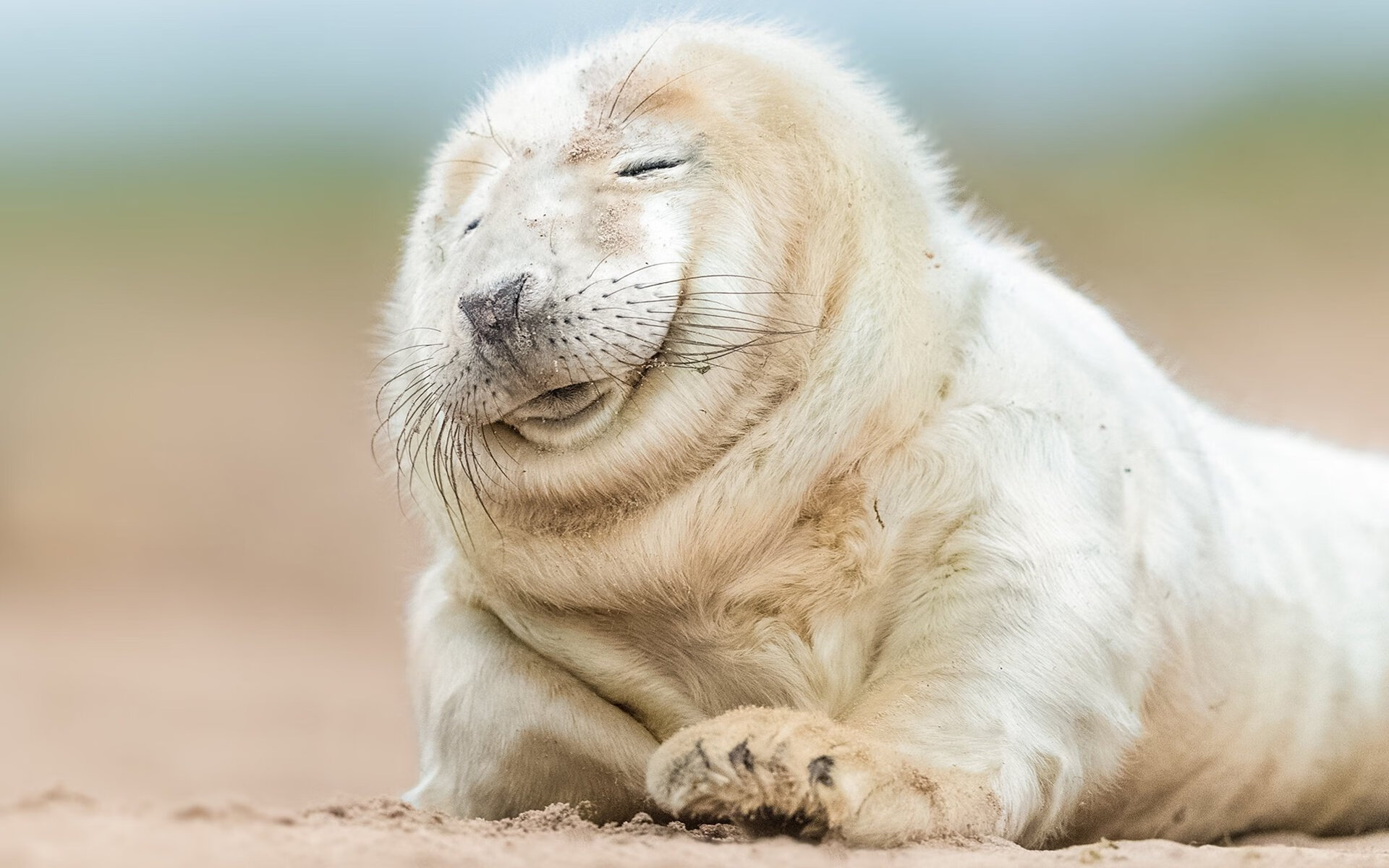 破晓时刻，楚阿梅尼高能撕裂长夜，星月军团揽下雄狮头颅