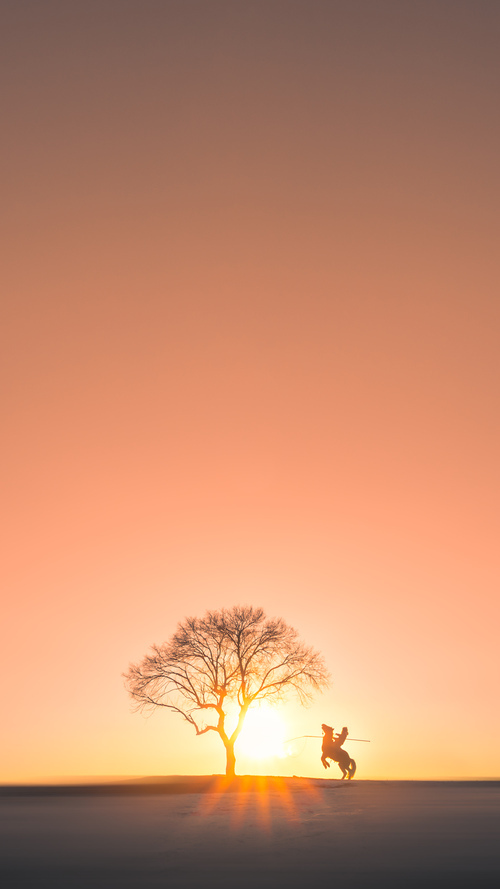 2026世界杯焦点战，掘金与山西队的跨界对决