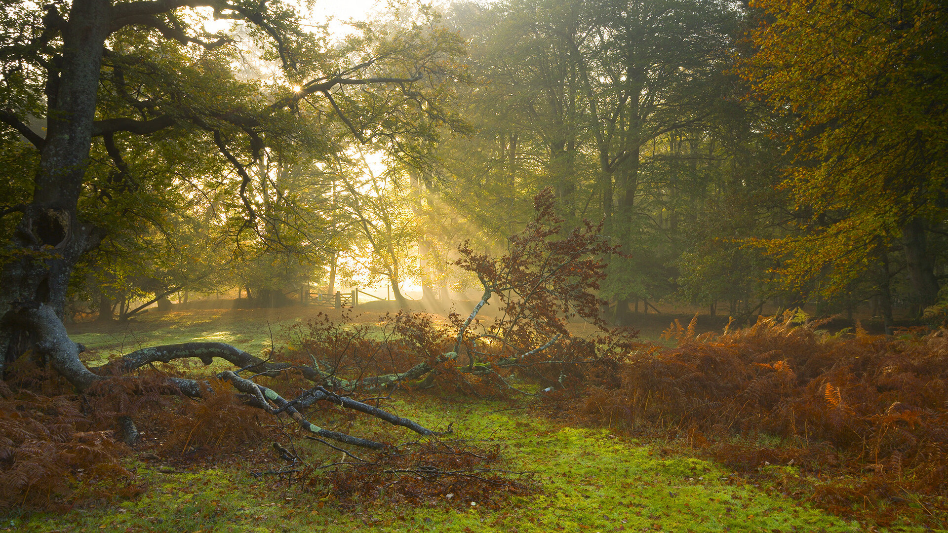 雷火电竞主播-世纪对决还是时代启示录？雷霆撕裂风城，一场定义未来的新王当立之战